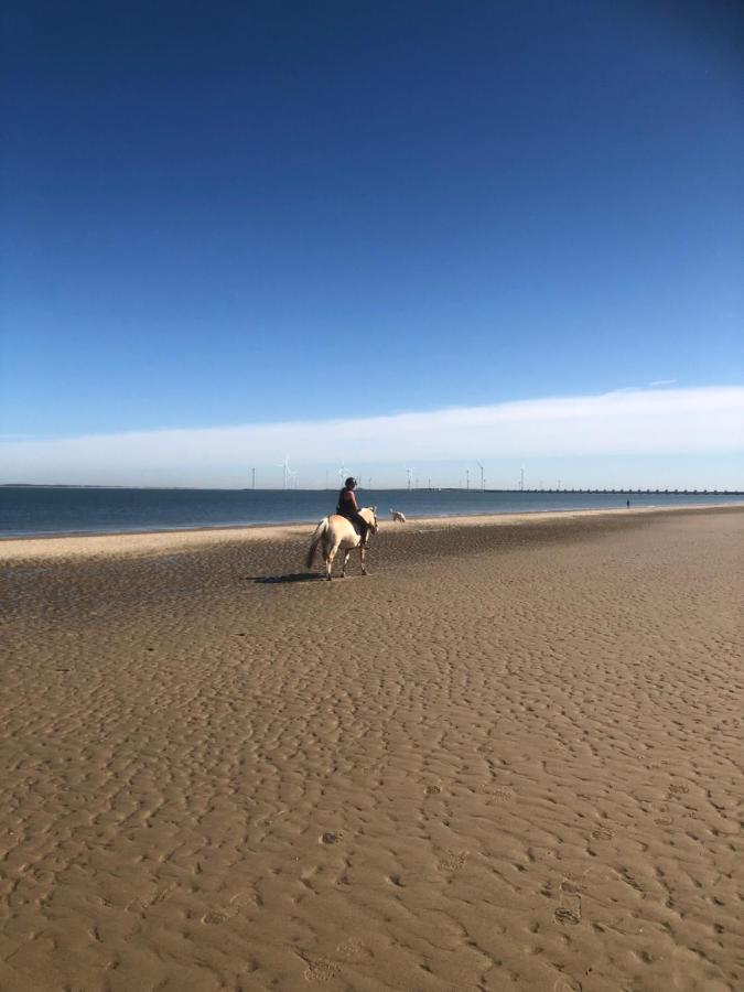 Dorpsdijk 49, Vrouwenpolder Vakantie エクステリア 写真