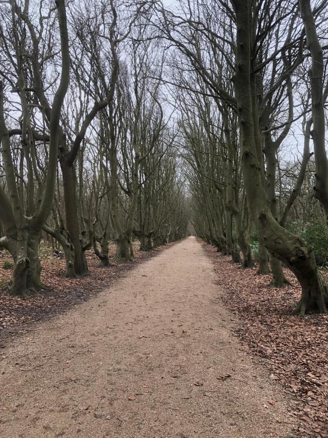 Dorpsdijk 49, Vrouwenpolder Vakantie エクステリア 写真