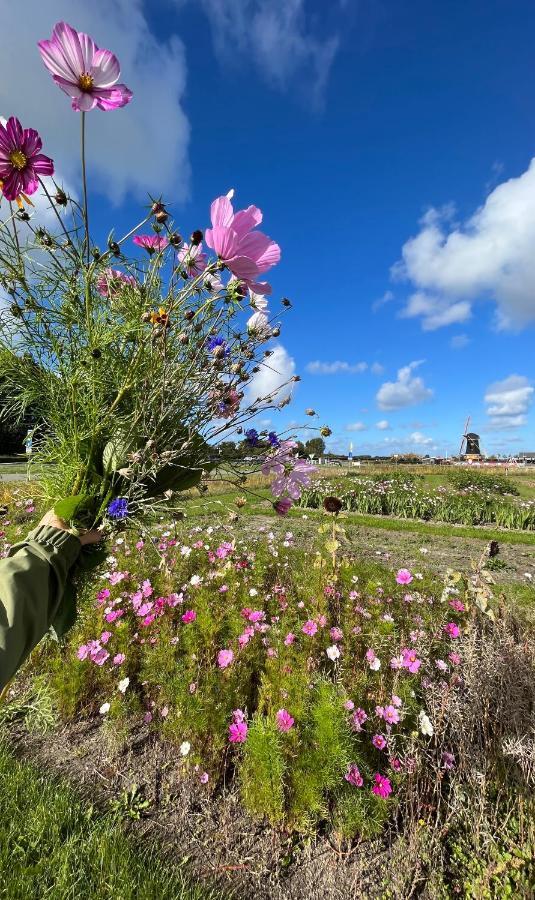 Dorpsdijk 49, Vrouwenpolder Vakantie エクステリア 写真